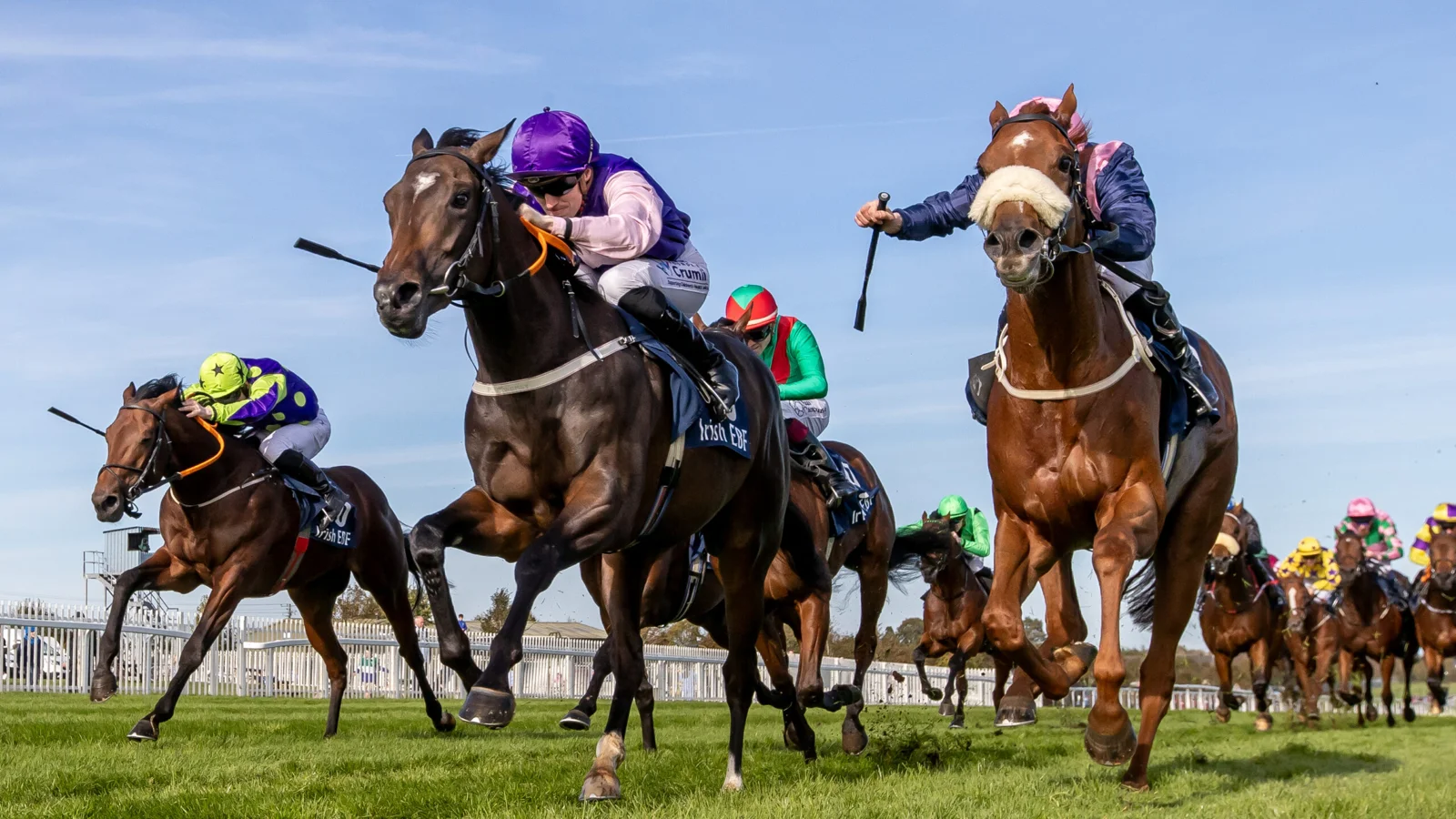 Betting Sites Ireland 2026 — Top Irish Bookmakers Compared & Reviewed